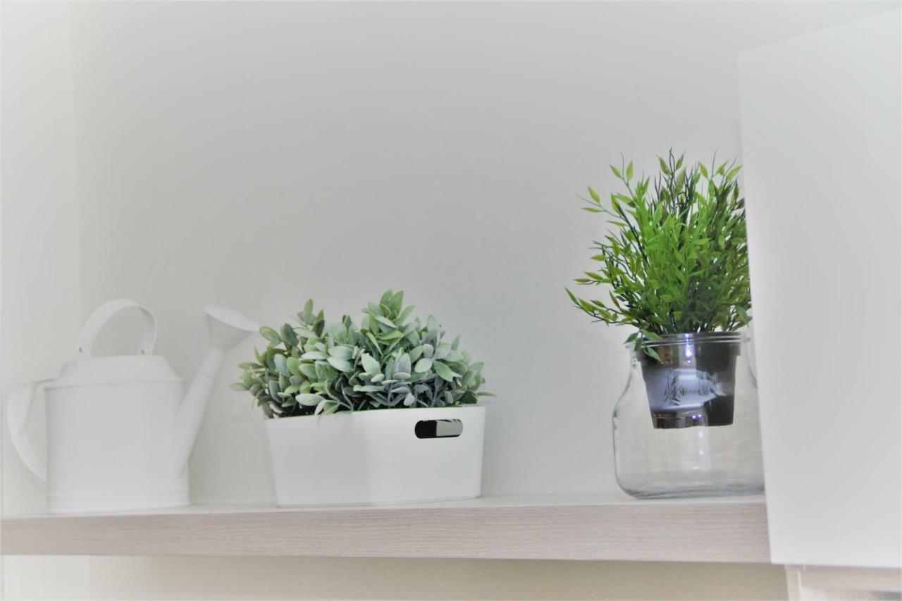 Downtown Eco Chic Apartamento